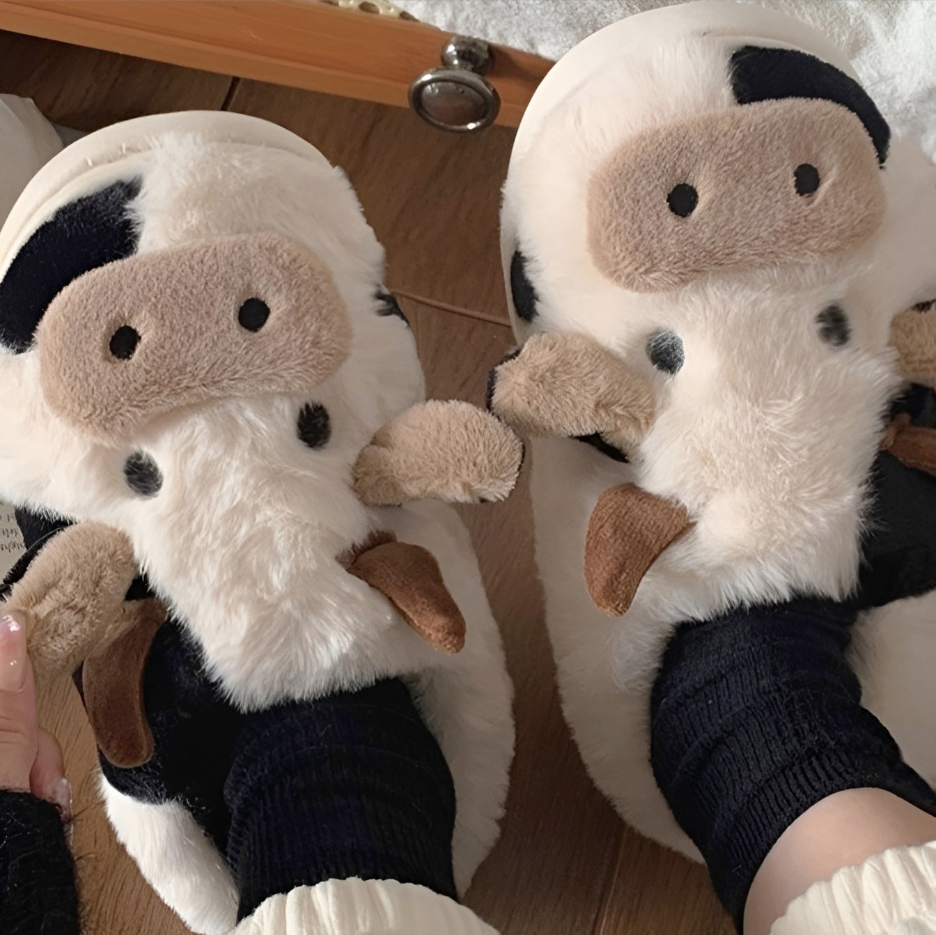 Cozy Cowpaws